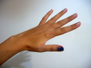 Illustration for article titled A Street Fighter II Painting So Small, It Could Fit on a Fingernail